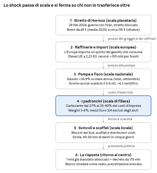 Infograph4